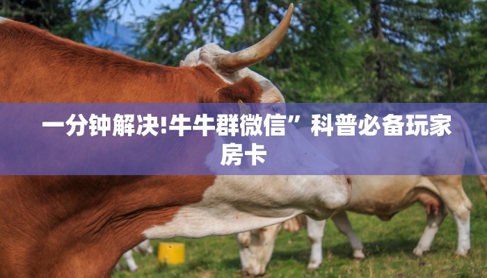  3分钟学会“微信牛牛金花嘉禾”详细房卡教程
