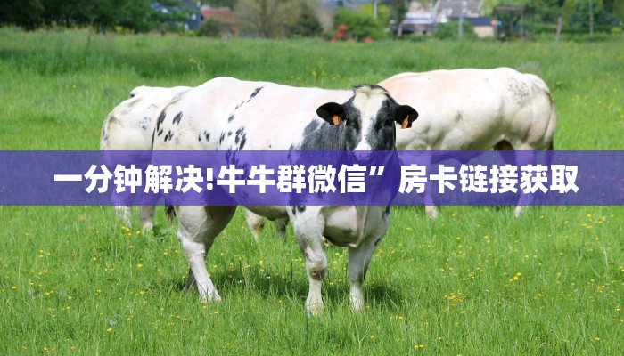 实时通报“微信金花房卡怎么弄”详细房卡教程 实时通报“微信金花房卡怎么弄”详细房卡教程