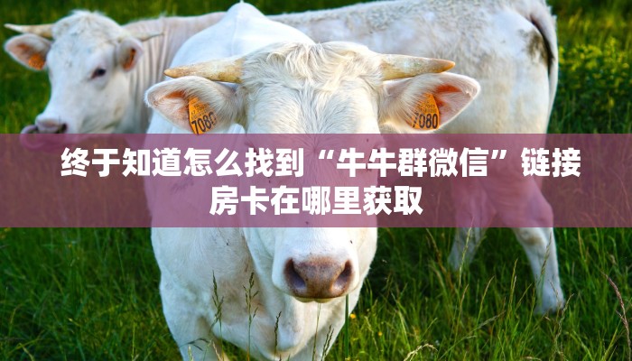 终于知道怎么找到“牛牛群微信”链接房卡在哪里获取 终于知道怎么找到“牛牛群微信”链接房卡在哪里获取