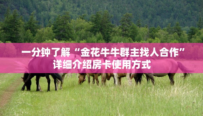  一分钟了解“金花牛牛群主找人合作”详细介绍房卡使用方式