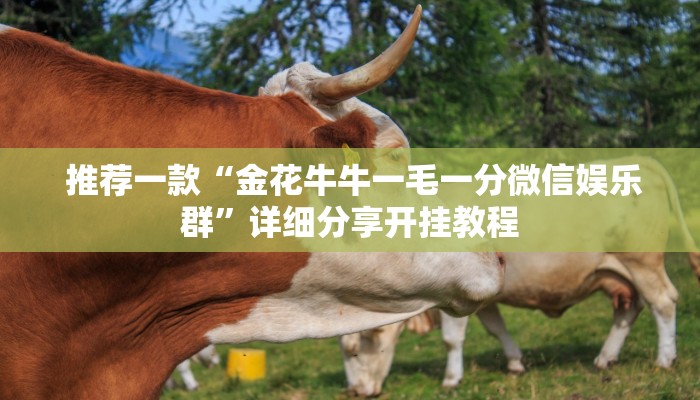  推荐一款“金花牛牛一毛一分微信娱乐群”详细分享开挂教程