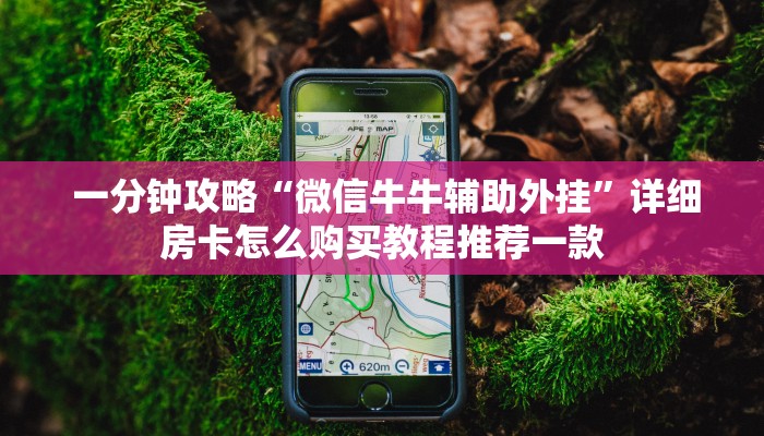  一分钟攻略“微信牛牛辅助外挂”详细房卡怎么购买教程推荐一款