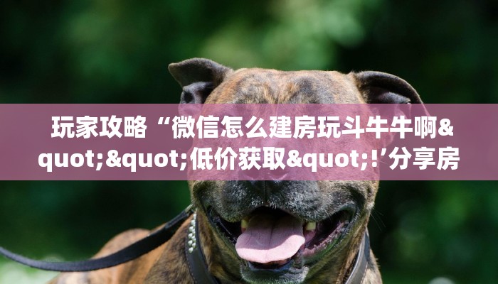 玩家攻略“微信怎么建房玩斗牛牛啊""低价获取"!’分享房卡给大家 玩家攻略“微信怎么建房玩斗牛牛啊""低价获取"!’分享房卡给大家