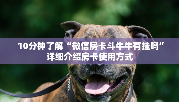  房卡教程“微信牛牛房卡怎么购买”科普必备玩家房卡