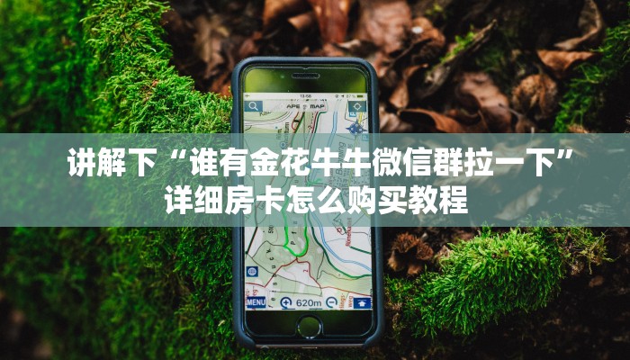 讲解下“谁有金花牛牛微信群拉一下”详细房卡怎么购买教程 讲解下“谁有金花牛牛微信群拉一下”详细房卡怎么购买教程