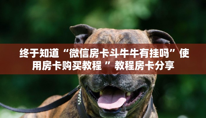  独家解读“牛魔王房卡哪里买”(详细分享开挂教程)