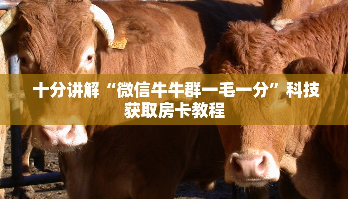  十分讲解“微信牛牛群一毛一分”科技获取房卡教程