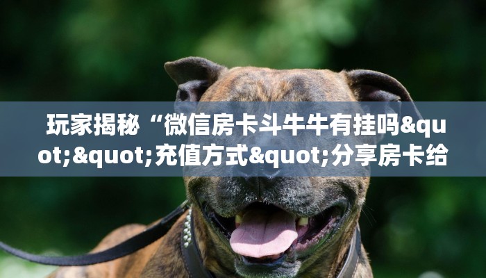 玩家揭秘“微信房卡斗牛牛有挂吗""充值方式"分享房卡给大家 玩家揭秘“微信房卡斗牛牛有挂吗""充值方式"分享房卡给大家