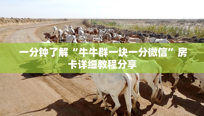  一分钟了解“牛牛群一块一分微信”房卡详细教程分享