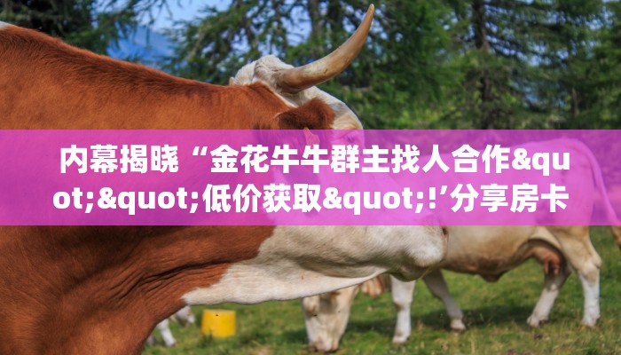  科普!“微信玩牛牛房卡怎么购买”详细分享开挂教程