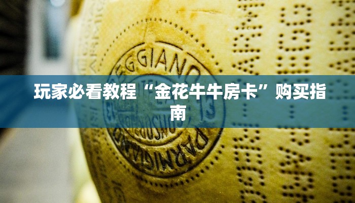  玩家必看教程“金花牛牛房卡”购买指南
