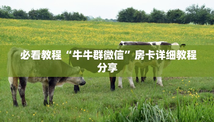  六分钟解决“微信房卡斗牛牛有挂吗""购买渠道"分享房卡给大家