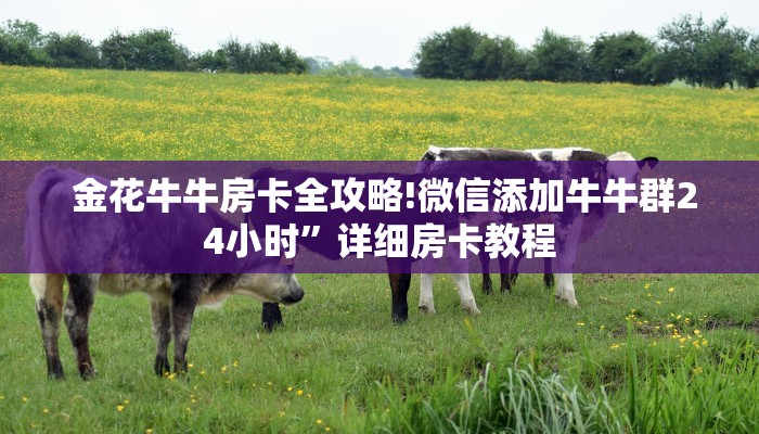 金花牛牛房卡全攻略!微信添加牛牛群24小时”详细房卡教程
