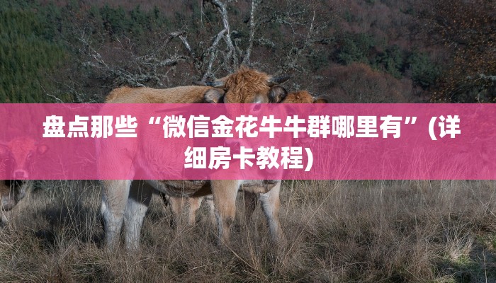  链接自建房模式!“微信金花牛牛房卡怎么买""充值方式"分享房卡给大家