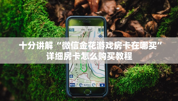 (2分钟科普下)微信海金花房间卡怎么买”详细房卡点评 (2分钟科普下)微信海金花房间卡怎么买”详细房卡点评
