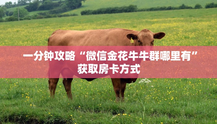 一分钟攻略“微信金花牛牛群哪里有”获取房卡方式 一分钟攻略“微信金花牛牛群哪里有”获取房卡方式