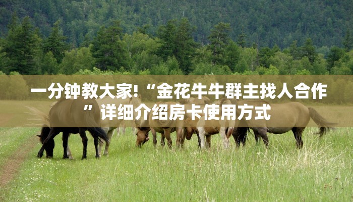 一分钟教大家!“金花牛牛群主找人合作”详细介绍房卡使用方式 一分钟教大家!“金花牛牛群主找人合作”详细介绍房卡使用方式