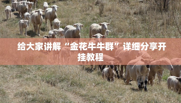  给大家讲解“金花牛牛群”详细分享开挂教程