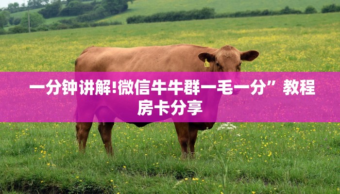 房卡测评“填大坑微信链接房卡”详细获取房卡教程 房卡测评“填大坑微信链接房卡”详细获取房卡教程