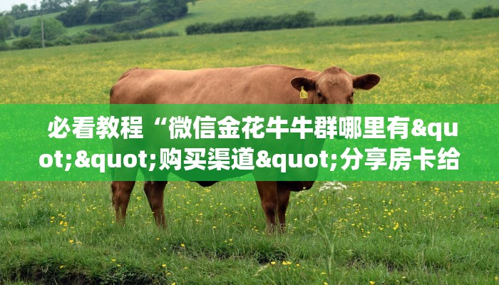  必看教程“微信金花牛牛群哪里有""购买渠道"分享房卡给大家