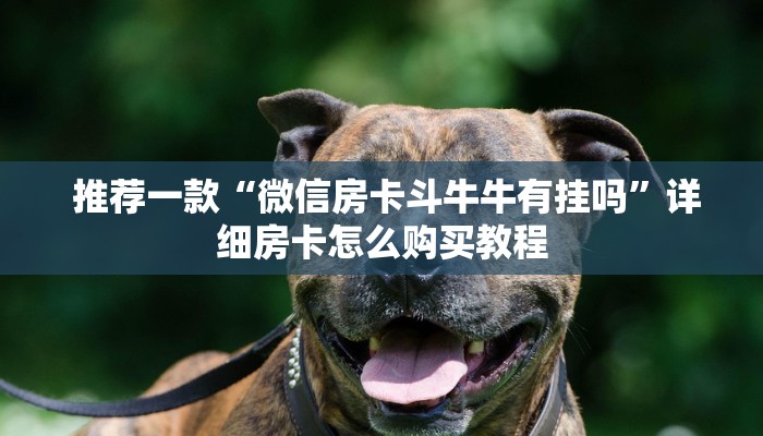  玩家测评“牛牛房卡批发”详细房卡怎么购买教程推荐一款