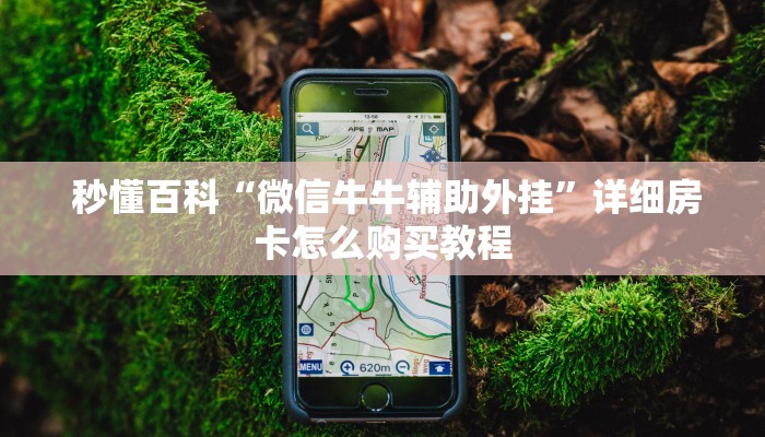  秒懂百科“微信牛牛辅助外挂”详细房卡怎么购买教程