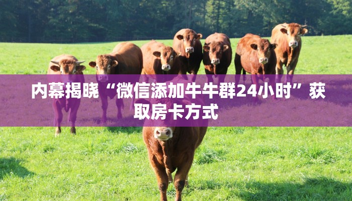 终于解决“牛牛金花群二维码”教程房卡分享 终于解决“牛牛金花群二维码”教程房卡分享