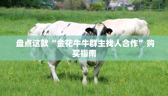  盘点这款“金花牛牛群主找人合作”购买指南