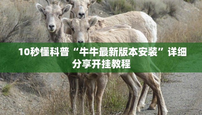 10秒懂科普“牛牛最新版本安装”详细分享开挂教程 10秒懂科普“牛牛最新版本安装”详细分享开挂教程