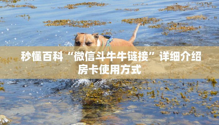  秒懂百科“微信斗牛牛链接”详细介绍房卡使用方式