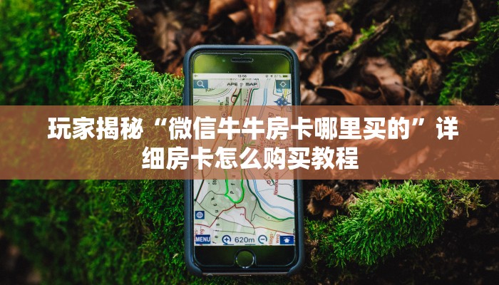 玩家揭秘“微信牛牛房卡哪里买的”详细房卡怎么购买教程 玩家揭秘“微信牛牛房卡哪里买的”详细房卡怎么购买教程