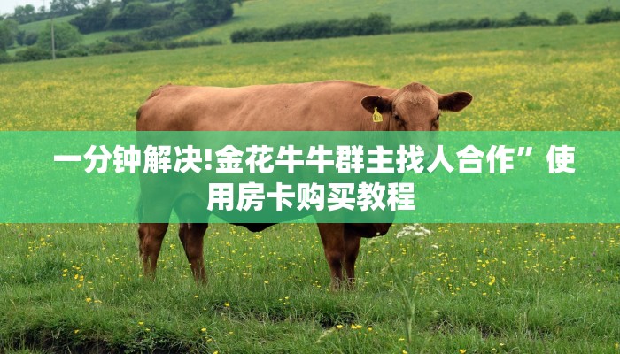  7分钟了解“皇豪互娱大厅牛牛房卡”独家房卡怎么购买方式