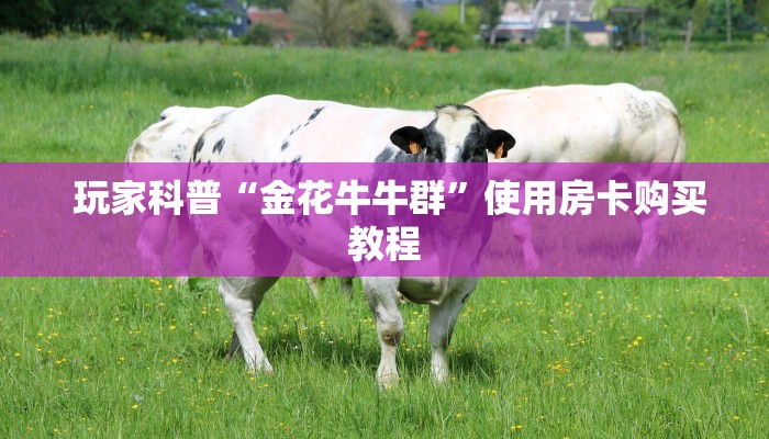  玩家必看“皇豪互娱金花房卡”房卡详细充值