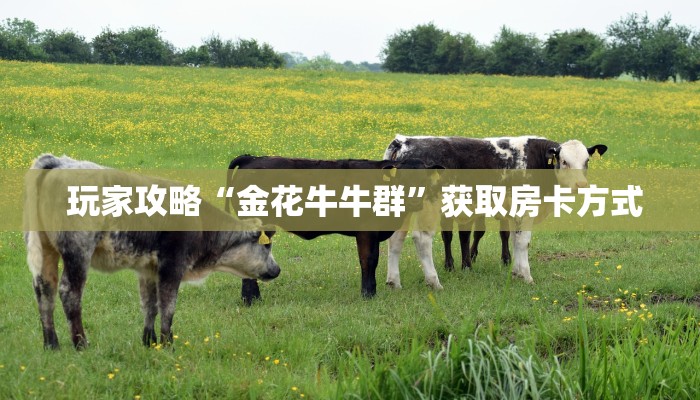  盘点那些“龙虎大厅金花房卡”详细房卡教程