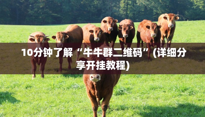  10分钟了解“牛牛群二维码”(详细分享开挂教程)