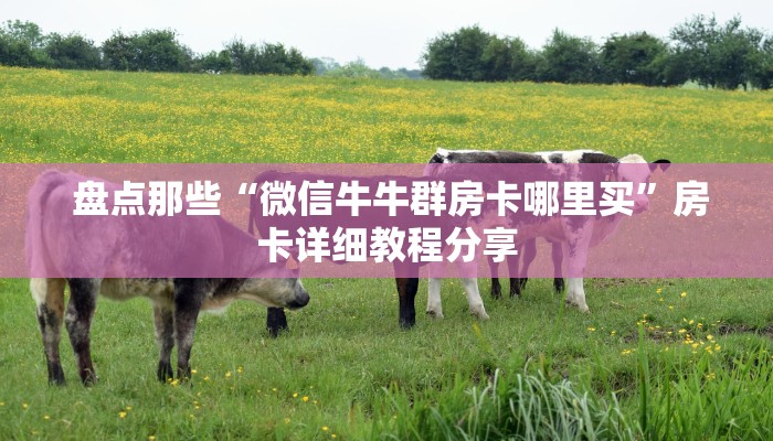 盘点那些“微信牛牛群房卡哪里买”房卡详细教程分享 盘点那些“微信牛牛群房卡哪里买”房卡详细教程分享