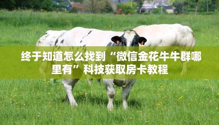  独家解读“新二号大厅牛牛金花房卡”房卡链接获取