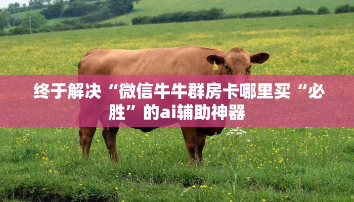  终于解决“微信牛牛群房卡哪里买“必胜”的ai辅助神器