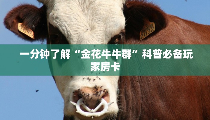 房卡百科“牛牛炸金花房卡链接”房卡实战经验 房卡百科“牛牛炸金花房卡链接”房卡实战经验