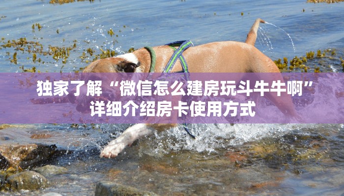  10分钟了解“微信牛牛链接版 有房卡"怎么弄房卡"详细步骤分享！！！