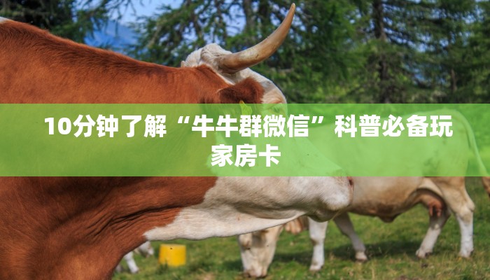 1秒种了解“炸金花房卡怎么搞到”科技获取房卡教程 1秒种了解“炸金花房卡怎么搞到”科技获取房卡教程