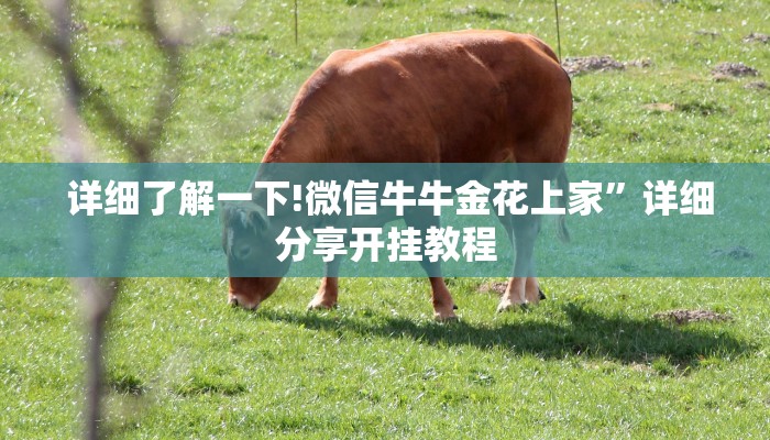 详细了解一下!微信牛牛金花上家”详细分享开挂教程 详细了解一下!微信牛牛金花上家”详细分享开挂教程