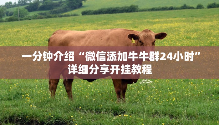  一分钟介绍“微信添加牛牛群24小时”详细分享开挂教程