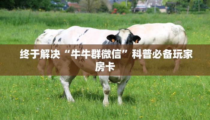 必看教程“微信牛牛房卡链接在哪弄得""低价获取"!’分享房卡给大家 必看教程“微信牛牛房卡链接在哪弄得""低价获取"!’分享房卡给大家