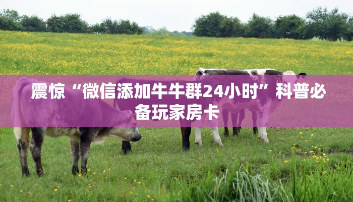 震惊“微信添加牛牛群24小时”科普必备玩家房卡 震惊“微信添加牛牛群24小时”科普必备玩家房卡