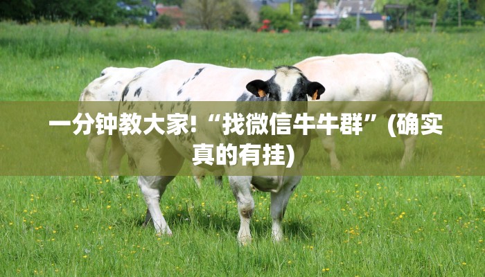 玩家科普“炸金花房卡怎么卖”房卡实战经验 玩家科普“炸金花房卡怎么卖”房卡实战经验