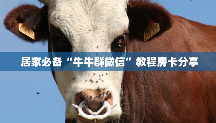 居家必备“牛牛群微信”教程房卡分享 居家必备“牛牛群微信”教程房卡分享