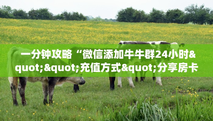 玩家必知“微信打牌房卡怎么开”详细分享开挂教程 玩家必知“微信打牌房卡怎么开”详细分享开挂教程