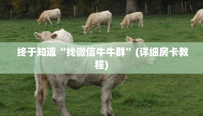 终于知道“找微信牛牛群”(详细房卡教程) 终于知道“找微信牛牛群”(详细房卡教程)