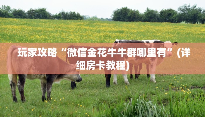  玩家攻略“微信金花牛牛群哪里有”(详细房卡教程)